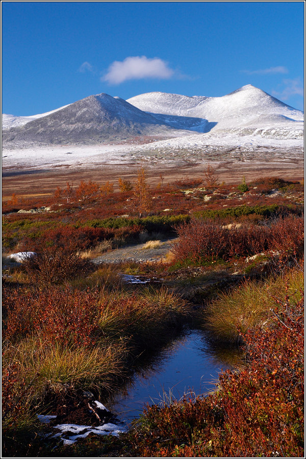 Rondane 7