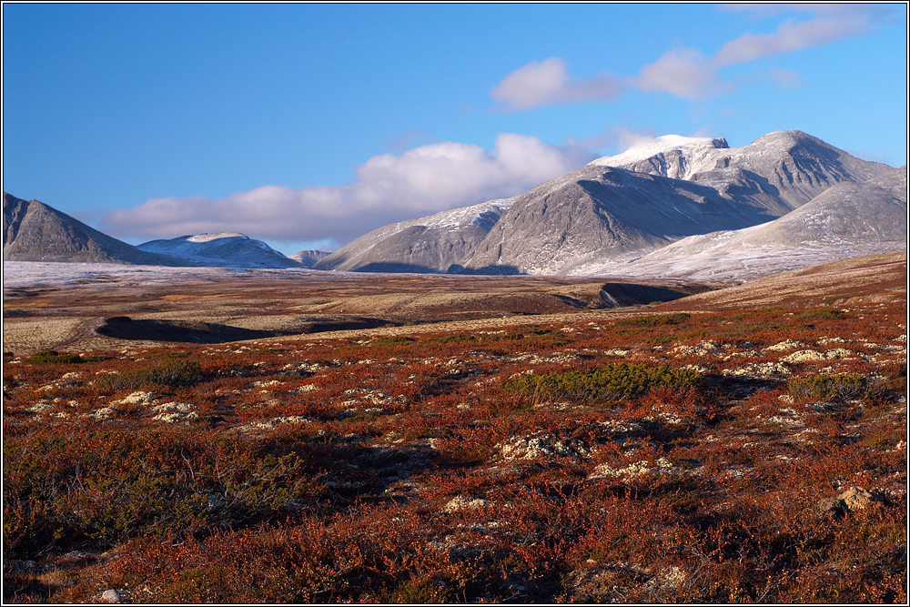 Rondane 8