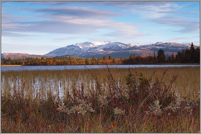 Rondane 25