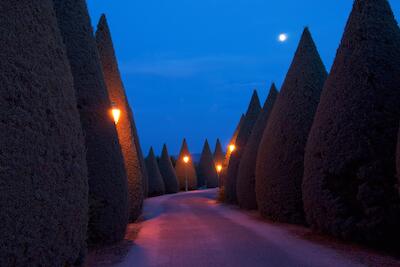 Provence 40