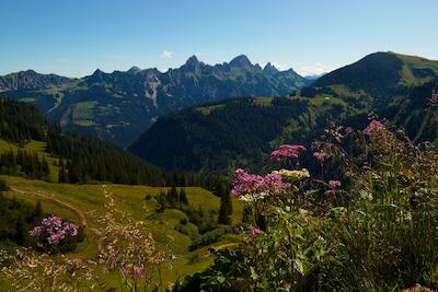 Allgäuer Alpen 4