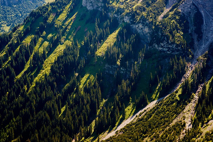 Allgäuer Alpen 6