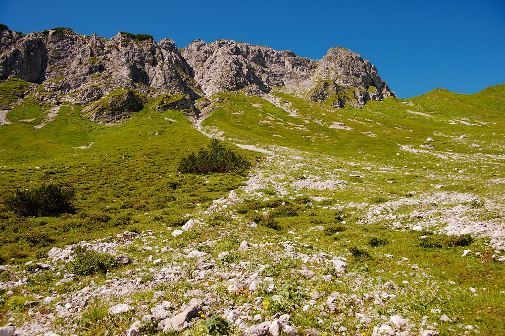 Allgäuer Alpen 7