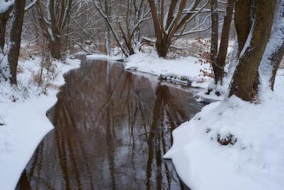 Winterlicher Bach