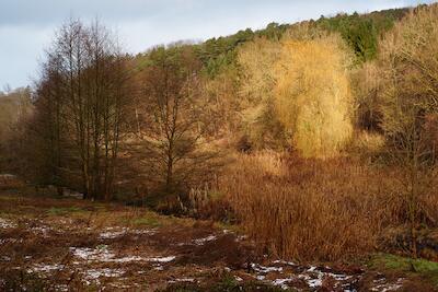Dezemberlandschaft