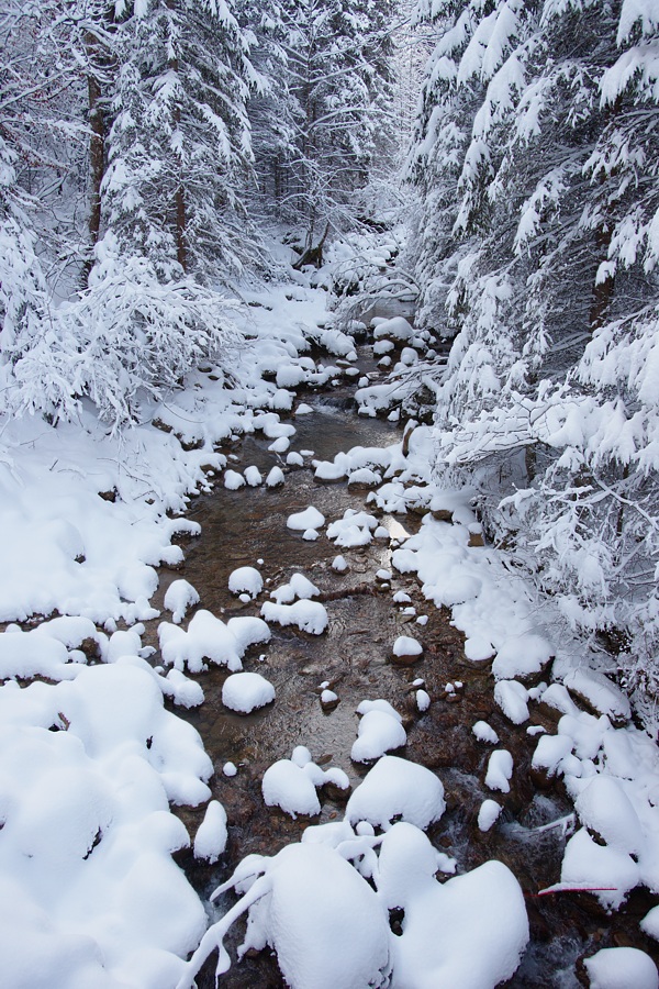 Winter im Allgäu
