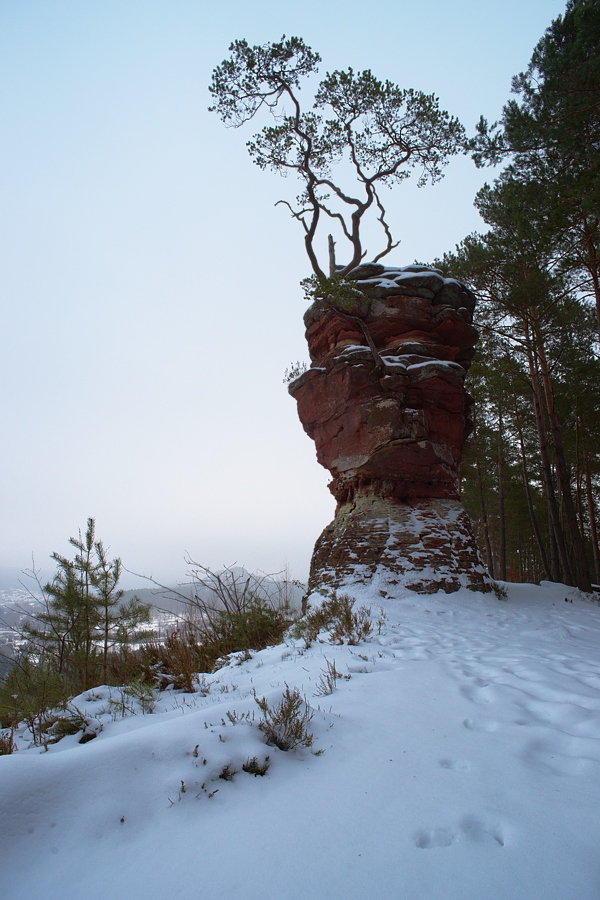 Dahner Felsenland - Lämmerfelsen