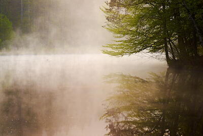 Morgens am Weiher