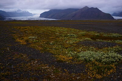 Island - Skaftafell II