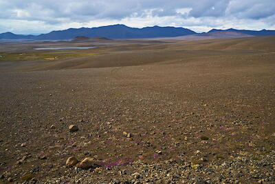 Island - Kahles Land