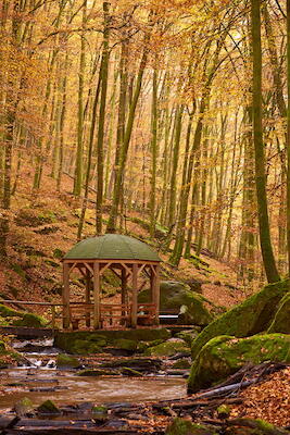 Karlstalschlucht II
