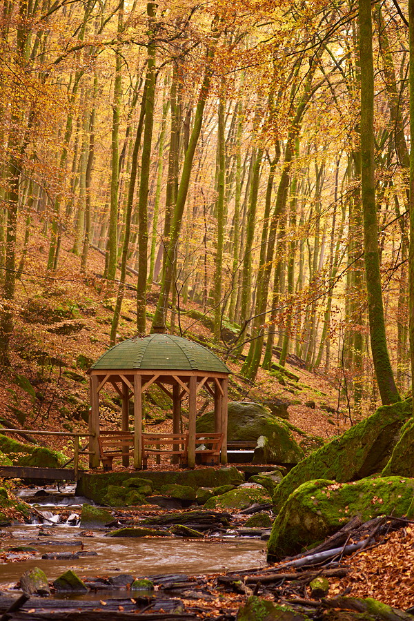 Karlstalschlucht II