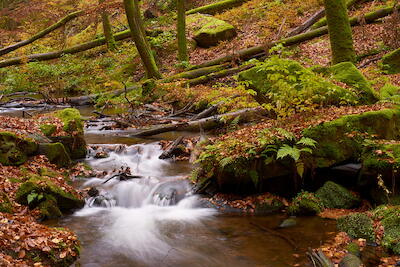 Karlstalschlucht IV