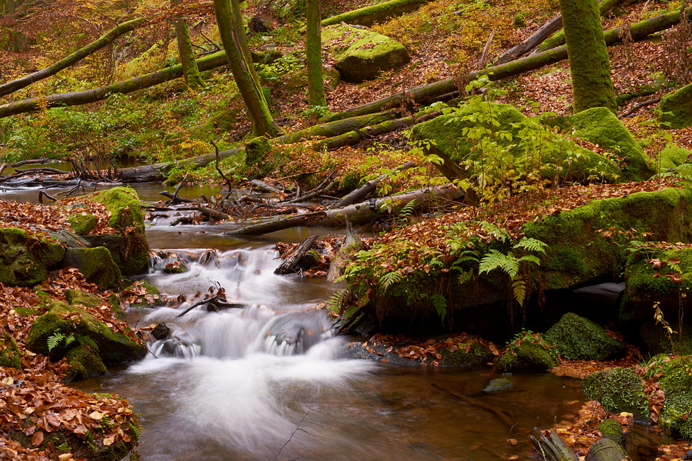 Karlstalschlucht IV