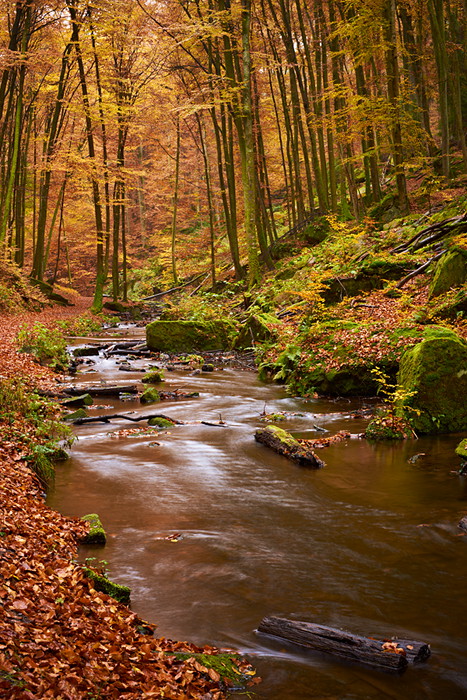 Karlstalschlucht V