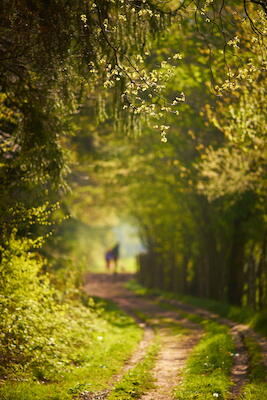Spaziergang