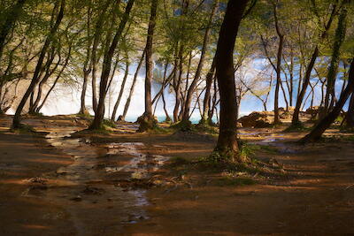 Kroatien - Krka VI