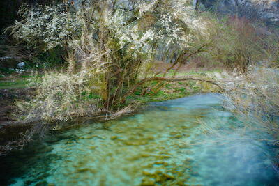 Kroatien - Plitvicer Seen X