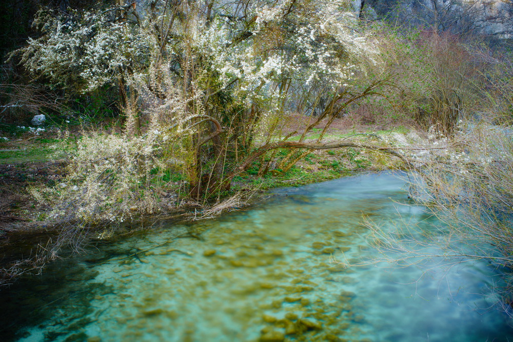 Kroatien - Plitvicer Seen X