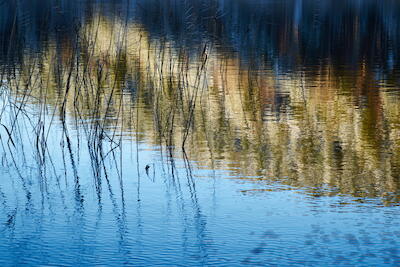Am See