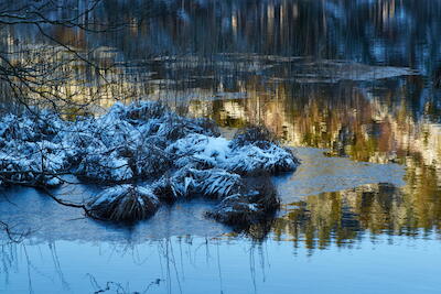 Am See II