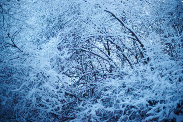 Winterwald III