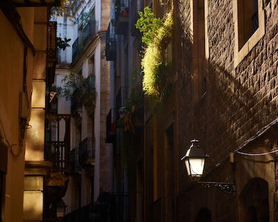 Barcelona 5