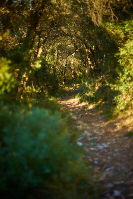 Montseny 3