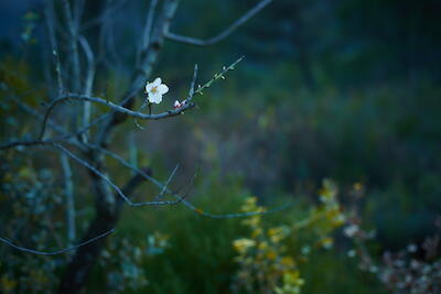 Montseny 5