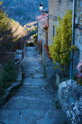 Montseny 23