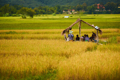Myanmar 1