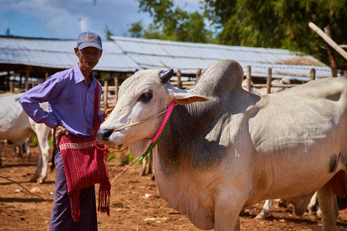 Myanmar 104