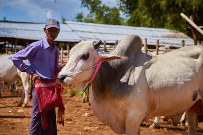 Myanmar 104