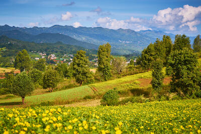 Myanmar 129