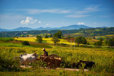 Myanmar 132