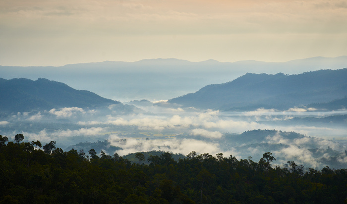 Myanmar 250