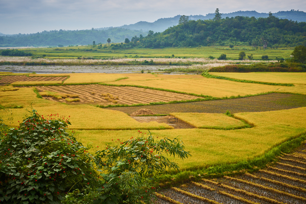 Myanmar 253