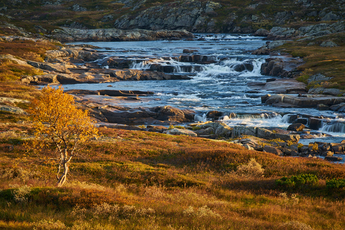 Norwegen 43