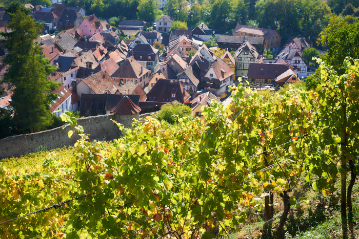 Ribeauvillé