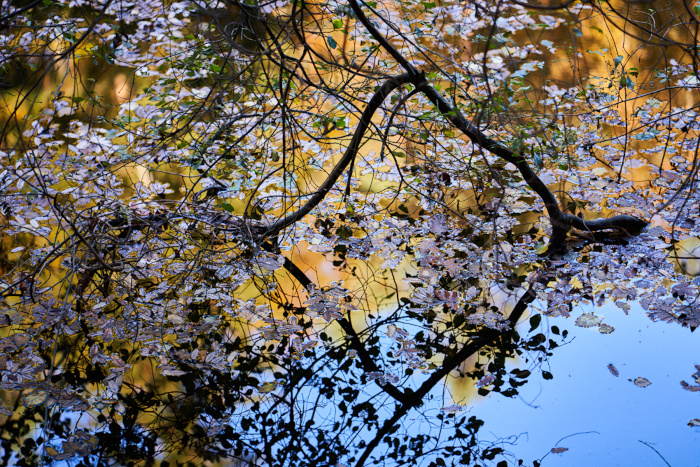 Herbstweiher II