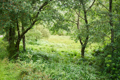 Schottland 8