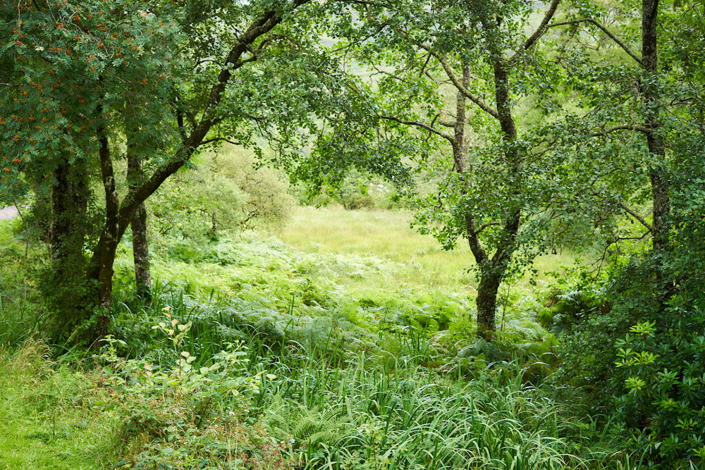 Schottland 8