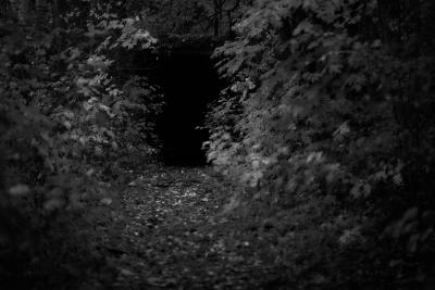 Der Tunnel