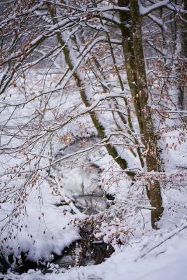 Am Bach