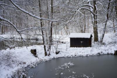 Kleine Hütte im Winterwald