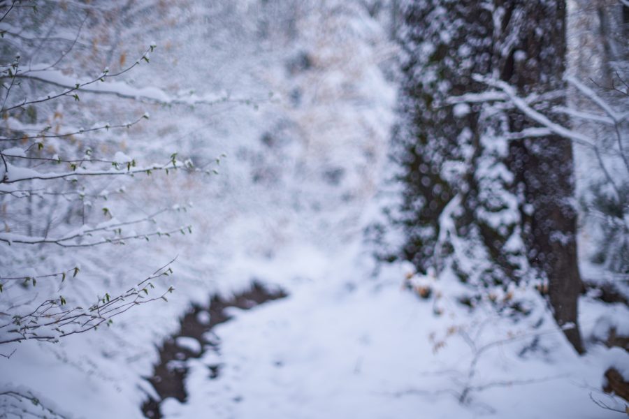 Winter im April