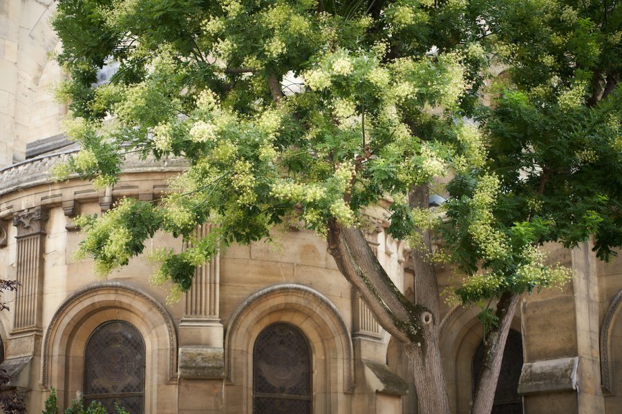 Église Saint-Ambroise, Paris