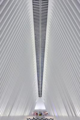 Im Inneren des Oculus