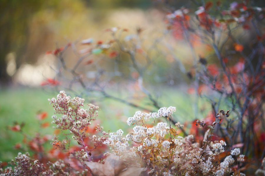 Pastell Herbst