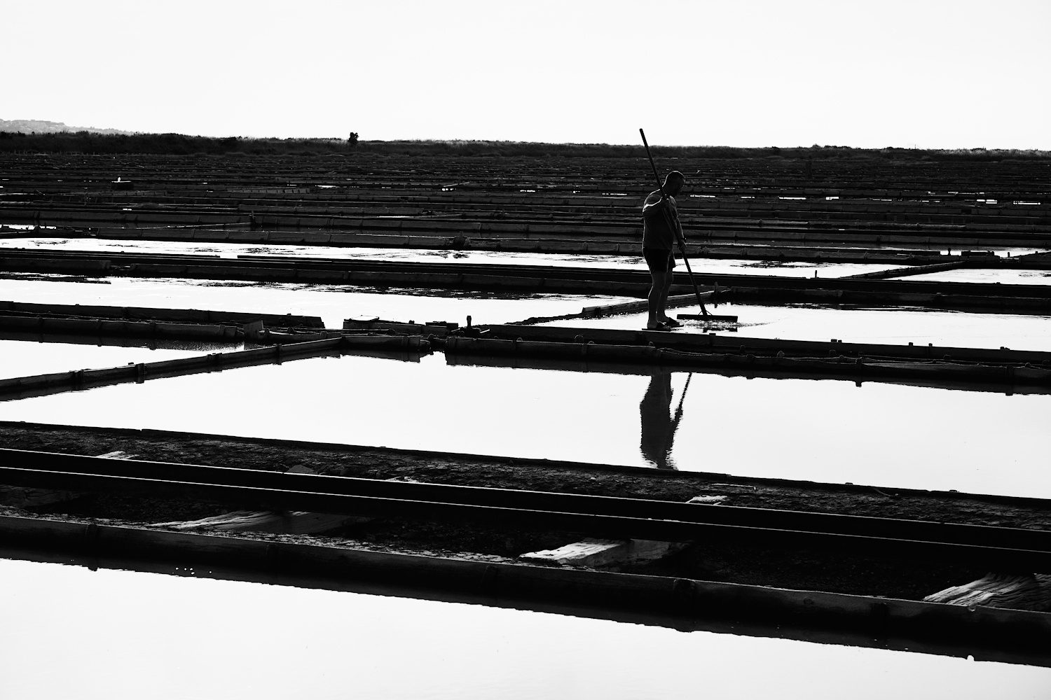 Saline